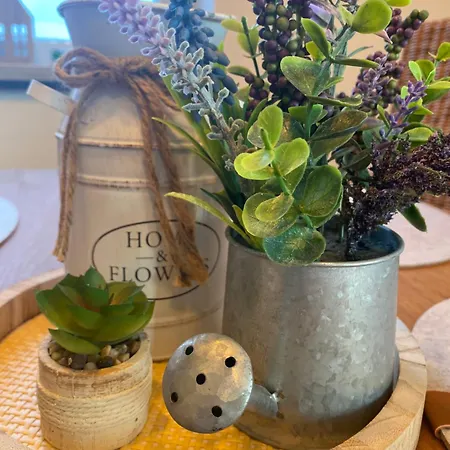 公寓 Kilz Iii In Gensingen