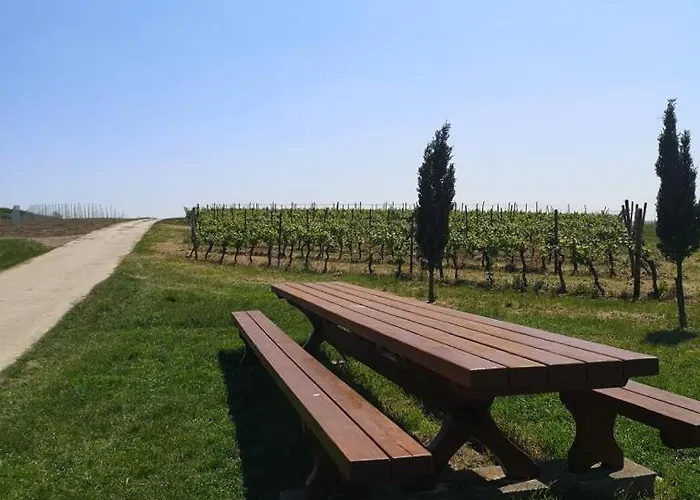 Kilz Iii In Gensingen